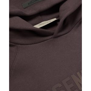 Essentials Oversized Hoodie Plum