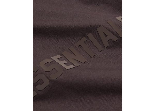 Essentials Oversized Hoodie Plum